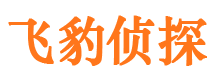 元谋私人侦探